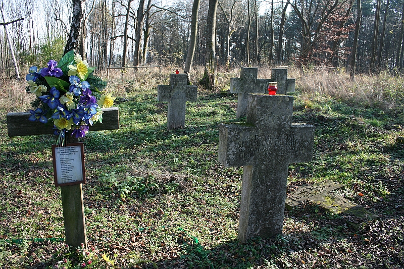 Rostoczek 11.2008 262